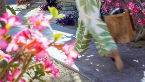 Unclassified image, 3 of 55, button - Hotel Hondo (Los Barriles)