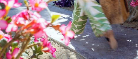 Design-studiolejlighed - 1 kingsize-seng - tekøkken - udsigt til have | Terrasse/gårdhave