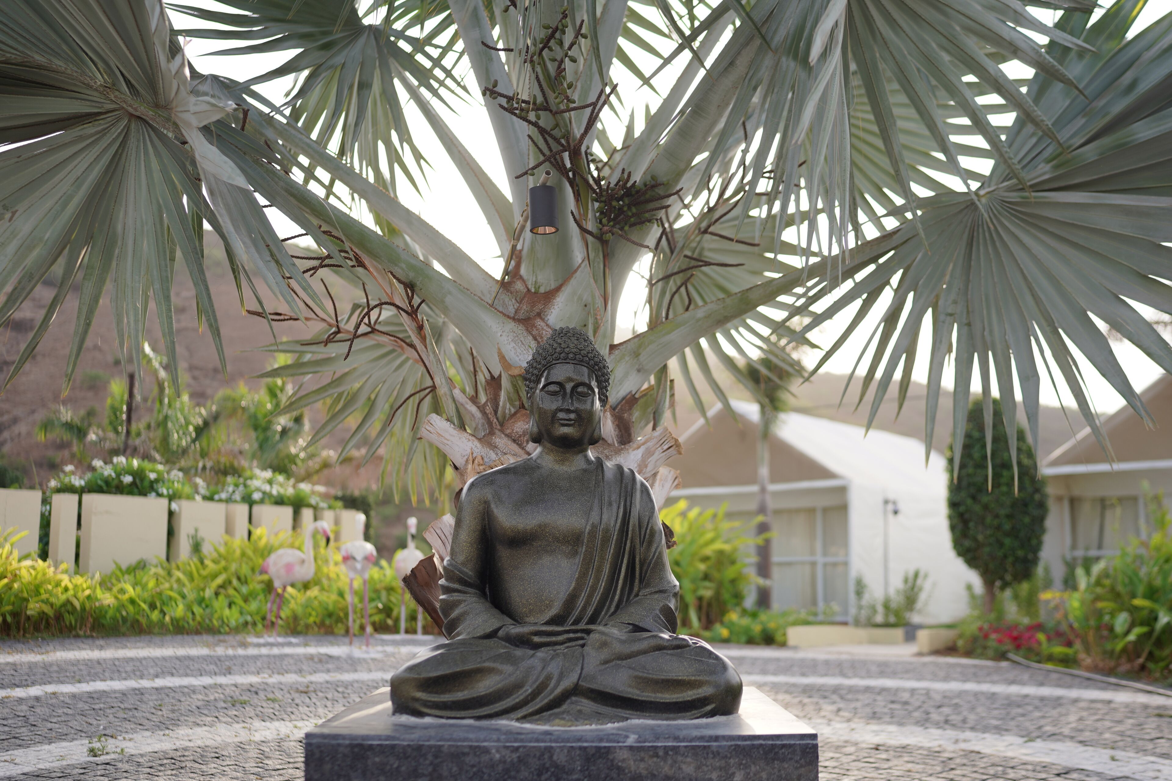 A statue of a seated figure under a palm tree in a landscaped area with a building in the background.
