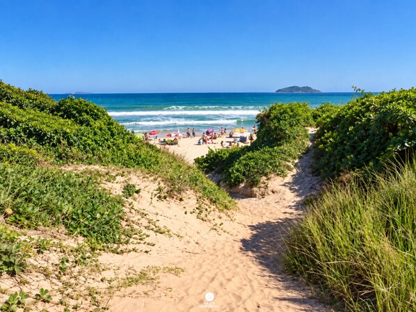 Playa