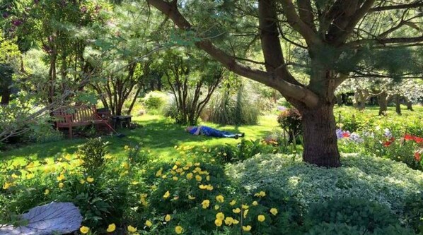 Overnattingsstedets uteområder