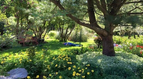 Happy Valley Studio - Peaceful rest in nature, just 5 minutes from downtown! 