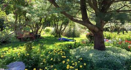 Happy Valley Studio - Peaceful rest in nature, just 5 minutes from downtown!