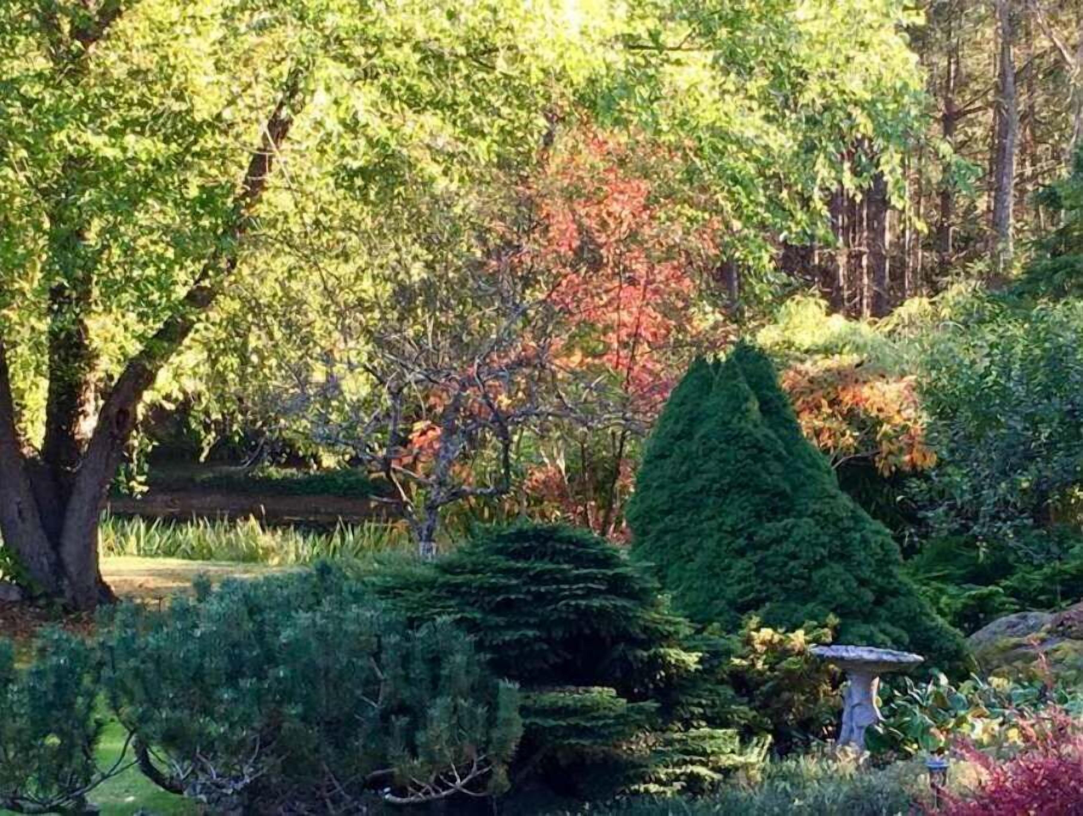 A garden with various trees and shrubs, a birdbath, and a stone structure.