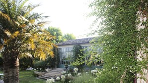 Un jardin avec un palmier, une maison avec un toit en tuiles, et une grande variété de plantes et de fleurs.