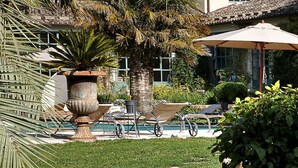 Un espace piscine avec des chaises longues, un palmier et un bâtiment doté d’un toit en tuiles.