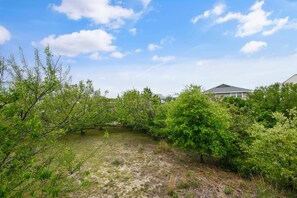 A residential area with houses, dense greenery, and a clear sky. - Sea Duck Sun -- Dog Friendly 5BR in Downtown Duck (Duck)
