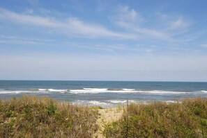 A beach with waves, a sandy path, and dense vegetation. - The Oceans Unit 301 -- Oceanfront Condo with Direct Access to Pool and Beach (Nags Head)