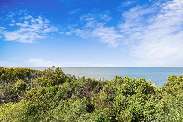 Un paysage côtier caractérisé par une végétation luxuriante et une vue sur la mer.