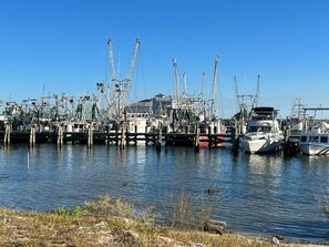 Port de plaisance