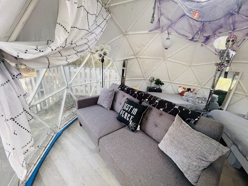 Tally Glamping Farmstay GIMPY’S GEODOME with mini horses, goats, cows, chickens