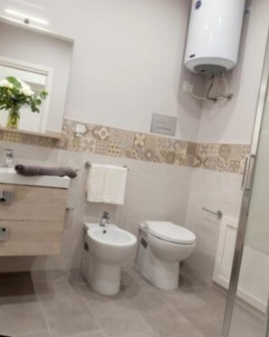 Regadera, secadora de cabello, bidet, toallas 