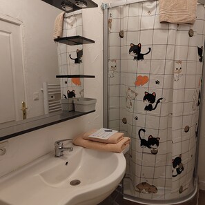 Dusche, Haartrockner, Handtücher, Toilettenpapier