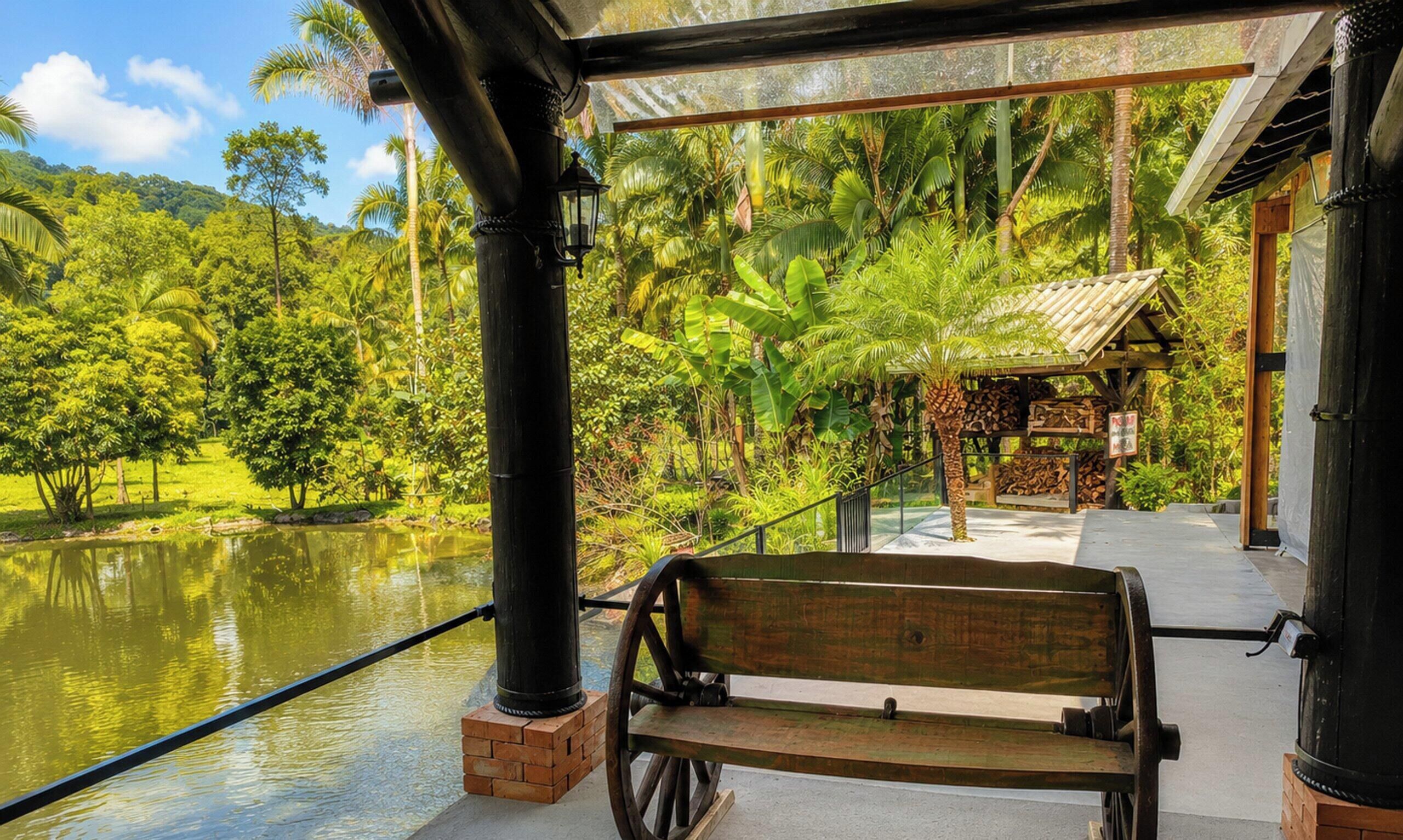 Garden view