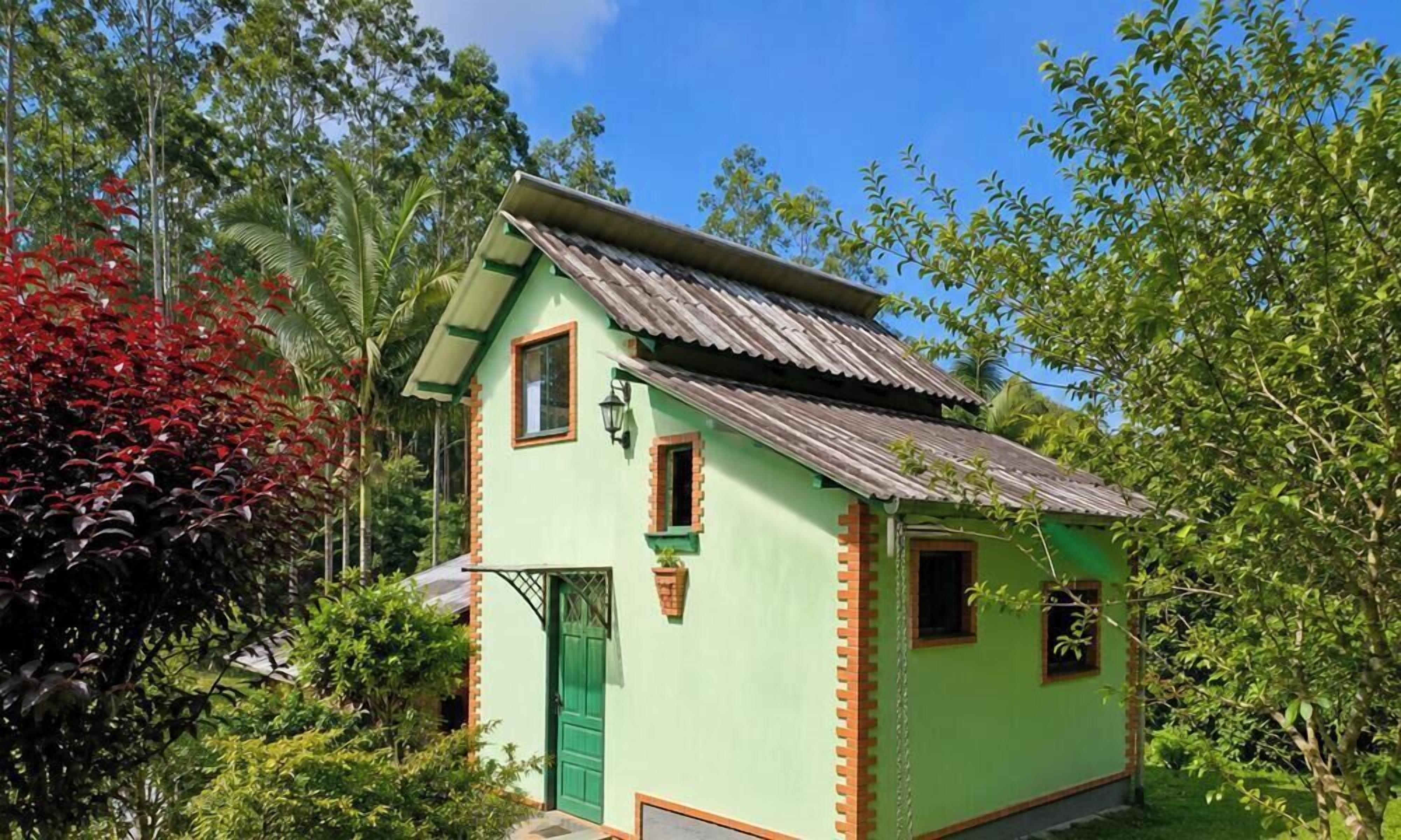 Una casita de una sola planta, con fachada verde y techo de lámina corrugada, rodeada de abundante vegetación.