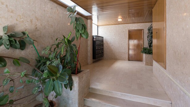 A spacious indoor area with a wooden ceiling, a staircase leading to a door, and potted plants.