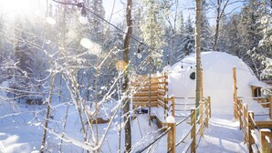 Ein mit Schnee bedeckter Iglu mit einer Holzleiter, die hinaufführt, umgeben von schneebedeckten Bäumen.
