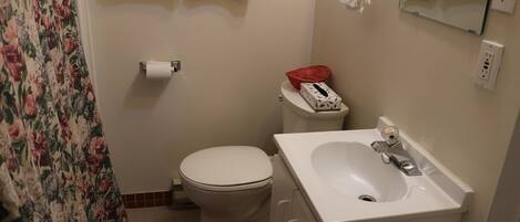 A bathroom with a toilet, sink, and a shower curtain.