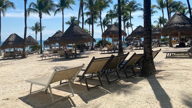 Una playa con sombrillas de paja y tumbonas.