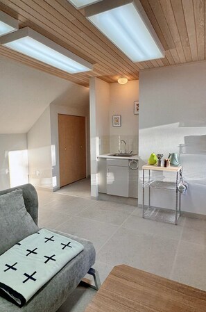 Smart TV - Mid-Century Gem by Local Artist. Heart of Downtown Location! (Anchorage)