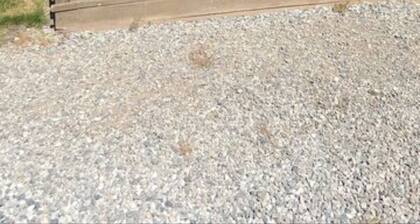 Elk Haven Camping (Cabin 13)