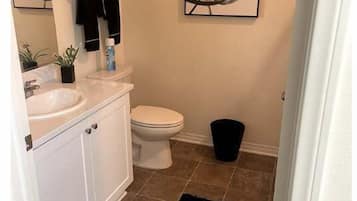 Hair dryer, towels, soap, toilet paper