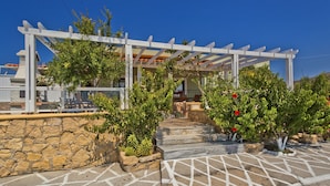 A covered outdoor area with a stone wall, steps leading to a building, and a pergola structure.