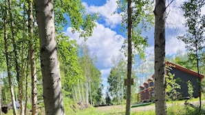 A view from a window overlooking a grassy area with birch trees and a building with a red roof.
