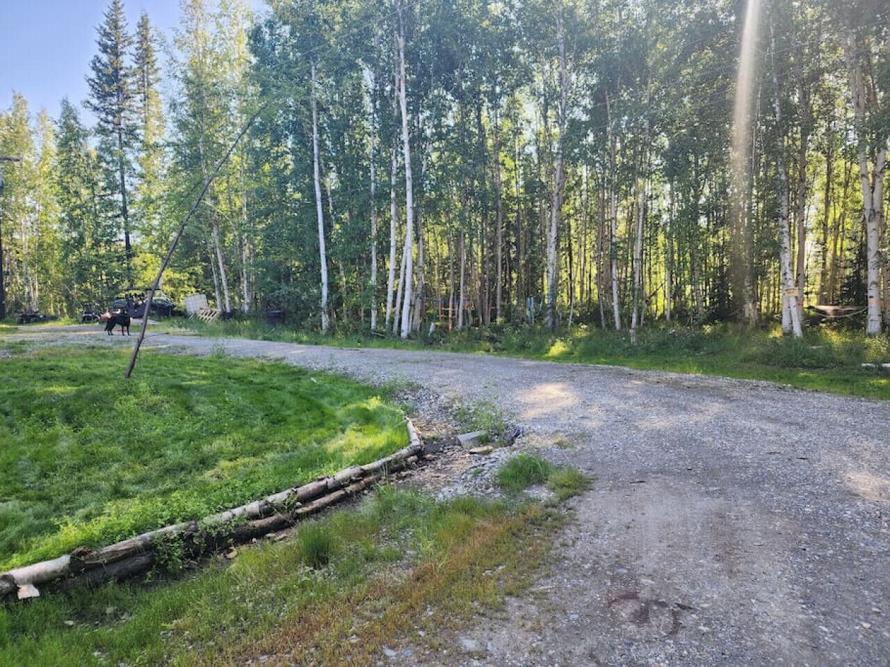 Un camino de grava serpentea por un área boscosa, con un campo de césped a un lado.