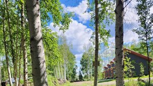 Une vue depuis une fenêtre donnant sur un espace verdoyant, avec des arbres et un bâtiment au loin.