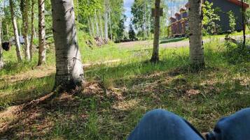 A view from a window overlooking a grassy area with trees and a building in the distance.