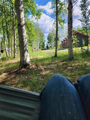 A view from a window overlooking a grassy area with trees and a building in the distance. - The Lazy Lynx - Frontier Village (Fairbanks)