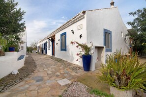 Une ruelle étroite, pavée de pierres, qui mène à un bâtiment blanc orné de volets bleus et surmonté d’un grand pot de fleurs.