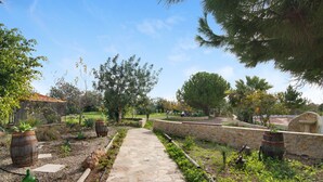 Ein gepflasterter Weg führt durch einen Garten mit verschiedenen Pflanzen und Bäumen.
