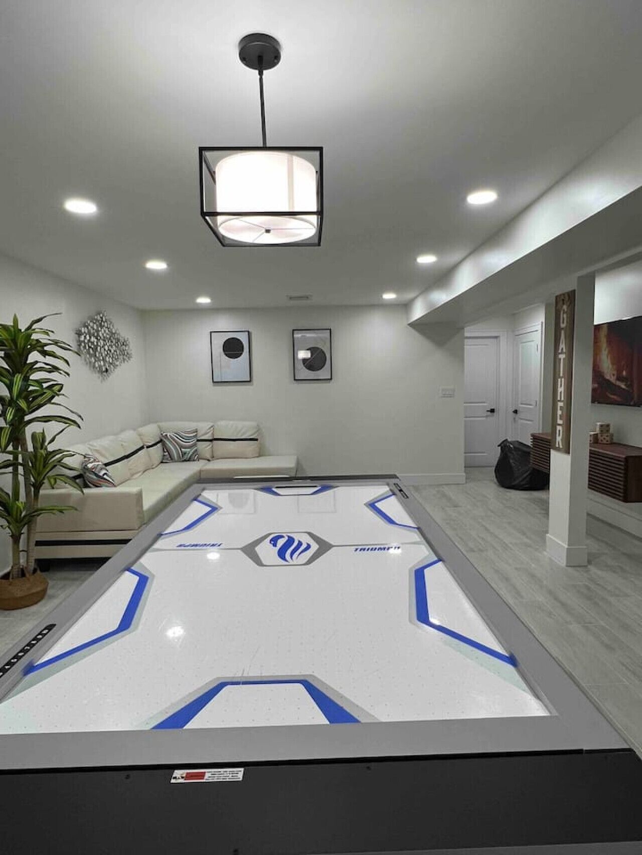 Un salon moderne avec une table de billard, un canapé, une plante en pot et un luminaire suspendu au plafond.