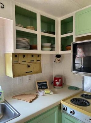 Frigorífico, microondas, horno y placa de cocina