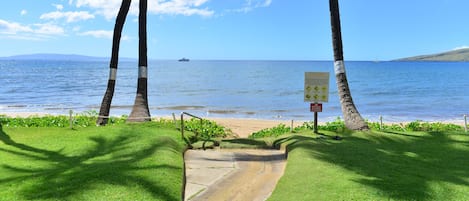 在海滩