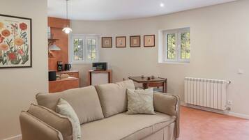 Televisie en een open haard