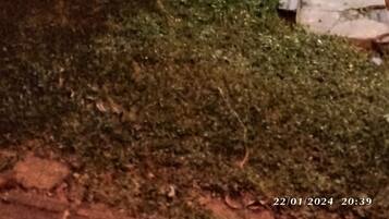 Bagian depan properti