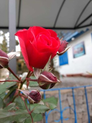 Terrace/patio - Pousada águia da serra  (Gramado)