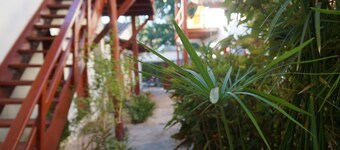 Pousada Flor de Debora