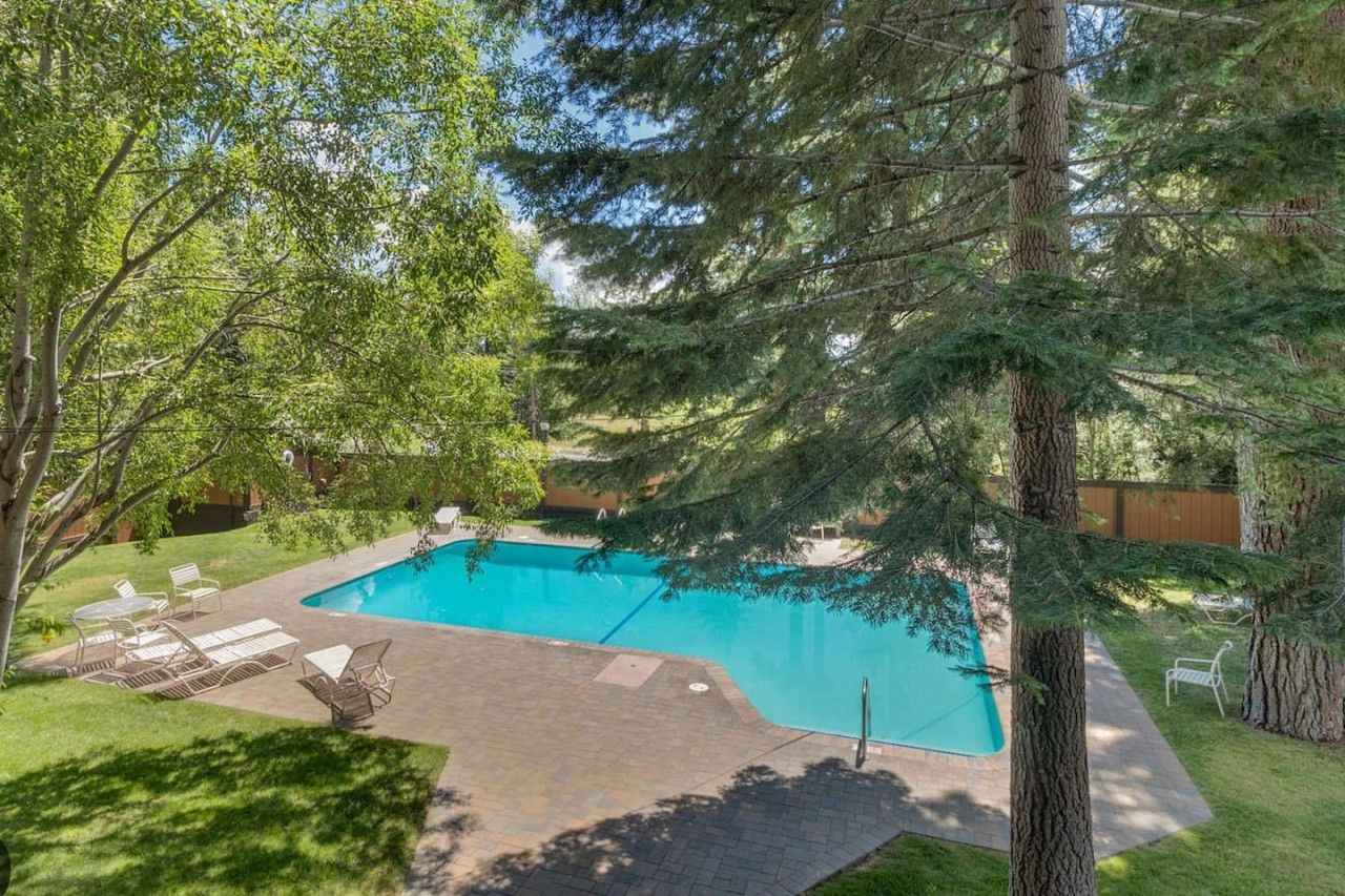 A backyard with a swimming pool, surrounded by trees and a patio area with chairs.