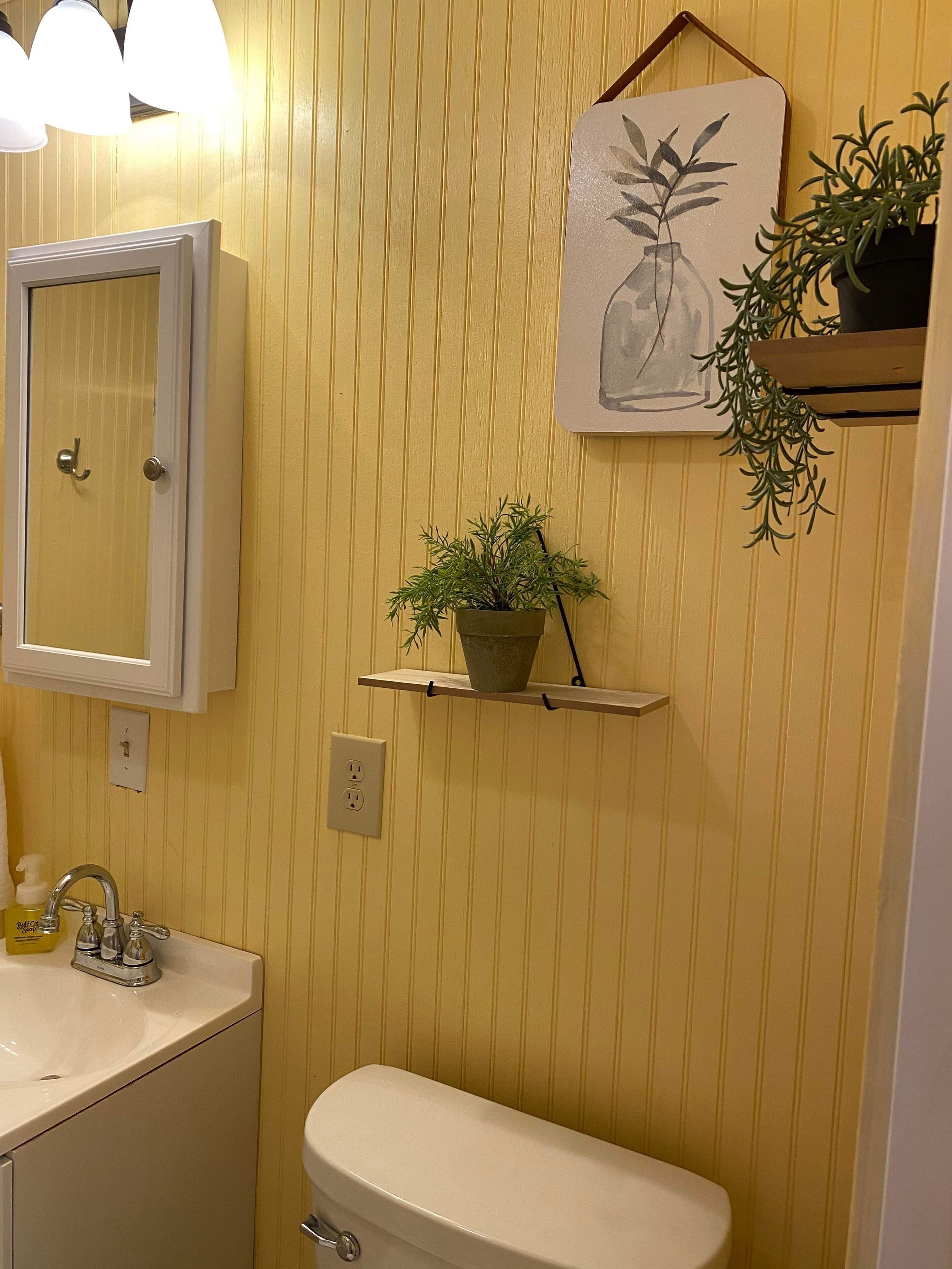 A bathroom with a toilet, sink, and mirror. There are two shelves with plants and a painting on the wall.