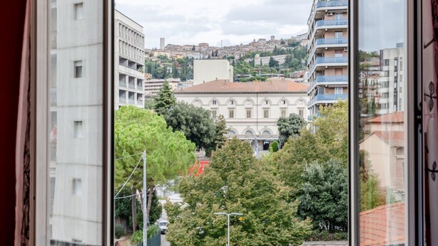 Une vue à travers la fenêtre d’un bâtiment, avec un grand arbre au premier plan, un bâtiment historique doté de fenêtres en arc de cercle en arrière-plan, et une colline parsemée de bâtiments résidentiels.