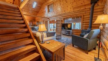 TV, fireplace, books