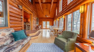 TV, fireplace, books