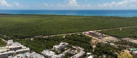 An aerial view of a coastal development with multiple buildings, including residential and commercial structures, surrounded by lush greenery and a clear view of the ocean.