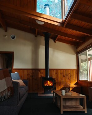 Smart TV, fireplace, books