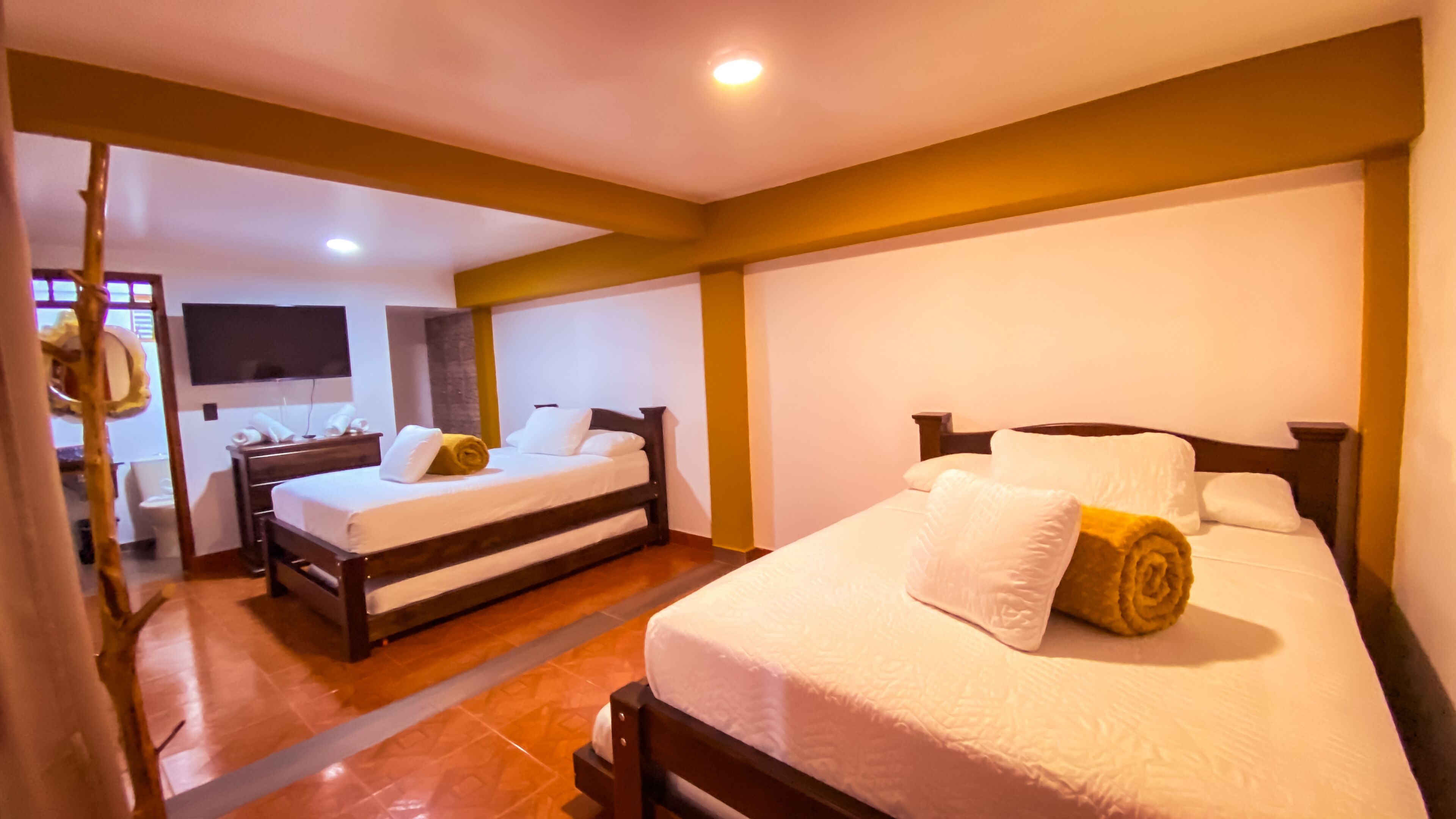 Habitación de hotel con dos camas, televisión y baño con ducha.