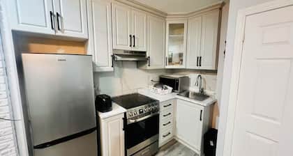 Luxury 1 Bedroom Basement Apartment with Fireplace & Free Parking minutes to YYZ